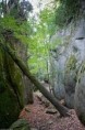 /album/t%27ho%20perdr%c3%a0s-/gale3-jpg/